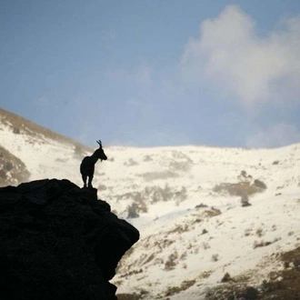 tourhub | Wild Frontiers | Pakistan: Under a Pagan Moon 