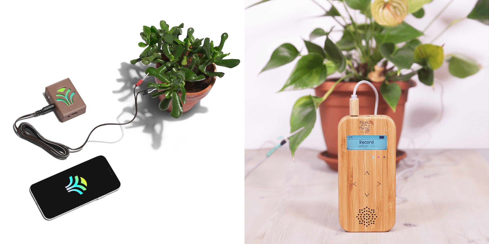 Tune in to nature by listening to music generated from your plants