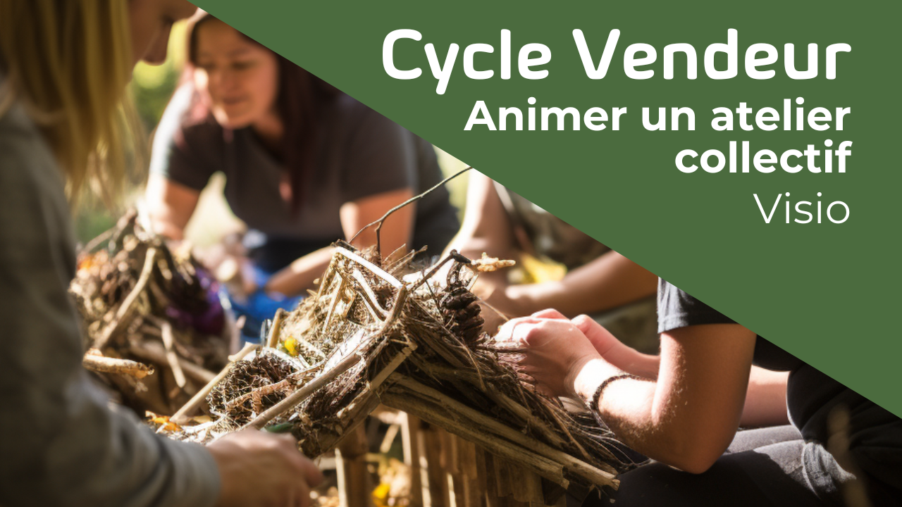 Représentation de la formation : ANIMER UN ATELIER COLLECTIF - VISIO