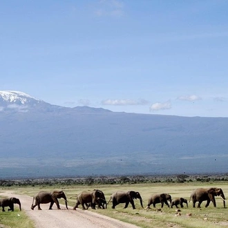 tourhub | Gracepatt Ecotours Kenya | 6 Days Amboseli, Lake Naivasha & Masai Mara Safari on 4x4 Jeep 