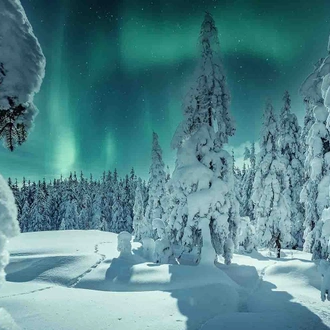 tourhub | YellowWood Adventures | Lapland: A Winter Adventure 