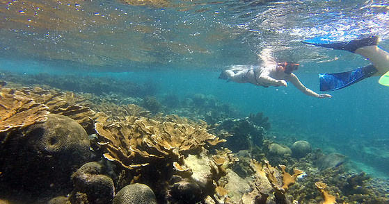 Snorkeling Adventure