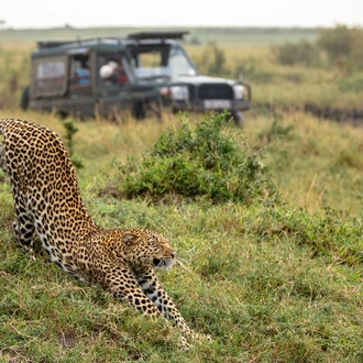 tourhub | Intrepid Travel | Premium Kenya 