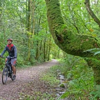 tourhub | Walkers' Britain | The Cyclist's Coast to Coast 