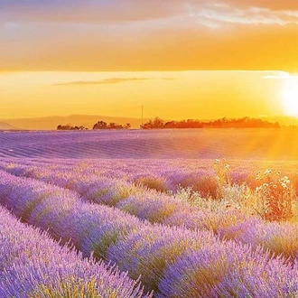 tourhub | Just Go Holidays | A Journey through Beautiful Provence 