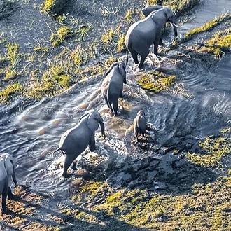 tourhub | Intrepid Travel | Okavango Experience 