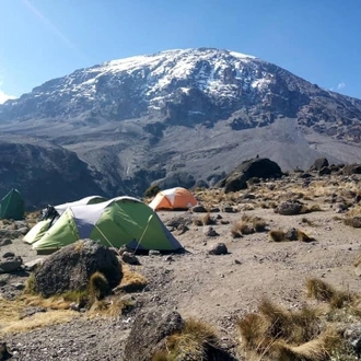 tourhub | Spider Tours And Safaris | 6 Days Kilimanjaro Climb Umbwe Route 