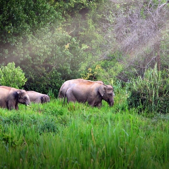 tourhub | Explore! | Family Thailand Beach, Jungle and Wildlife Adventure 