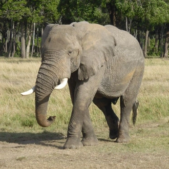 tourhub | Motor Trails | 9 Days Kenya Maasai Guided Motorcycle Tour 