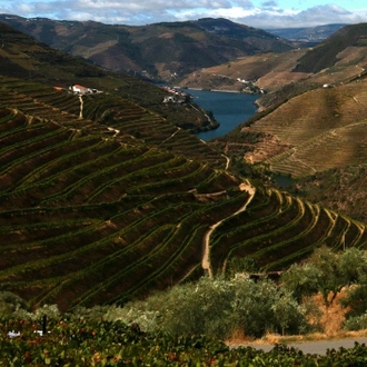 tourhub | Exodus Adventure Travels | Cycling in the Douro Valley 