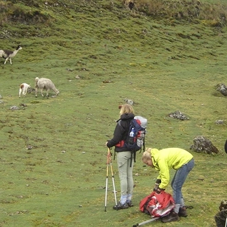 tourhub | Alpaca Expeditions | Lares Trek to Machu Picchu - 4 Days / 3 Nights 