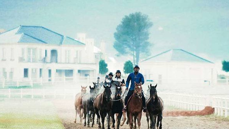 International standard equestrian riding arena