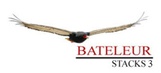 Bateleur Stacks 3 logo