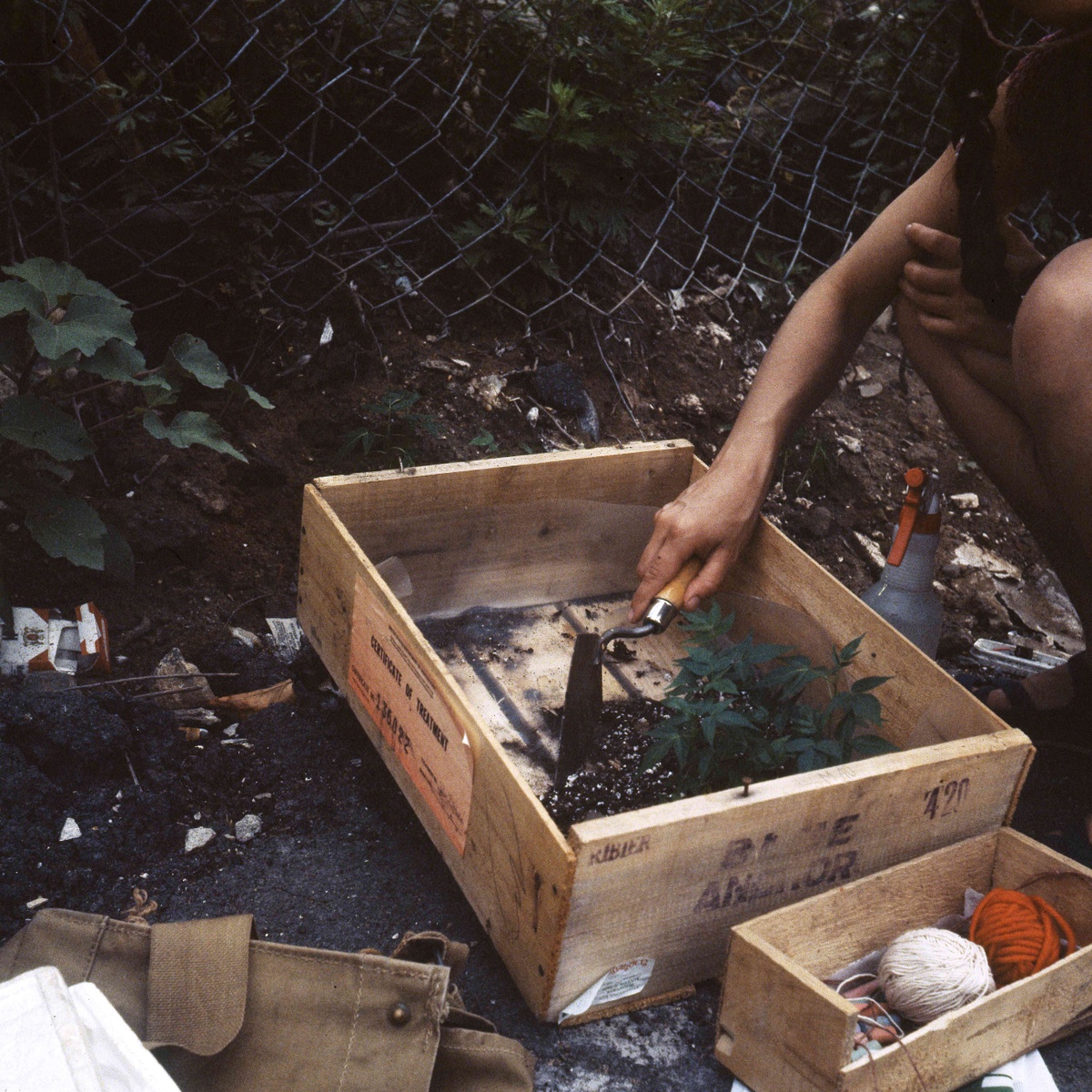 A hand holding a gardening shovel reaches into a wooden box of fresh dirt and plants. The box sits on asphalt, colliding with a patch of unkempt land.