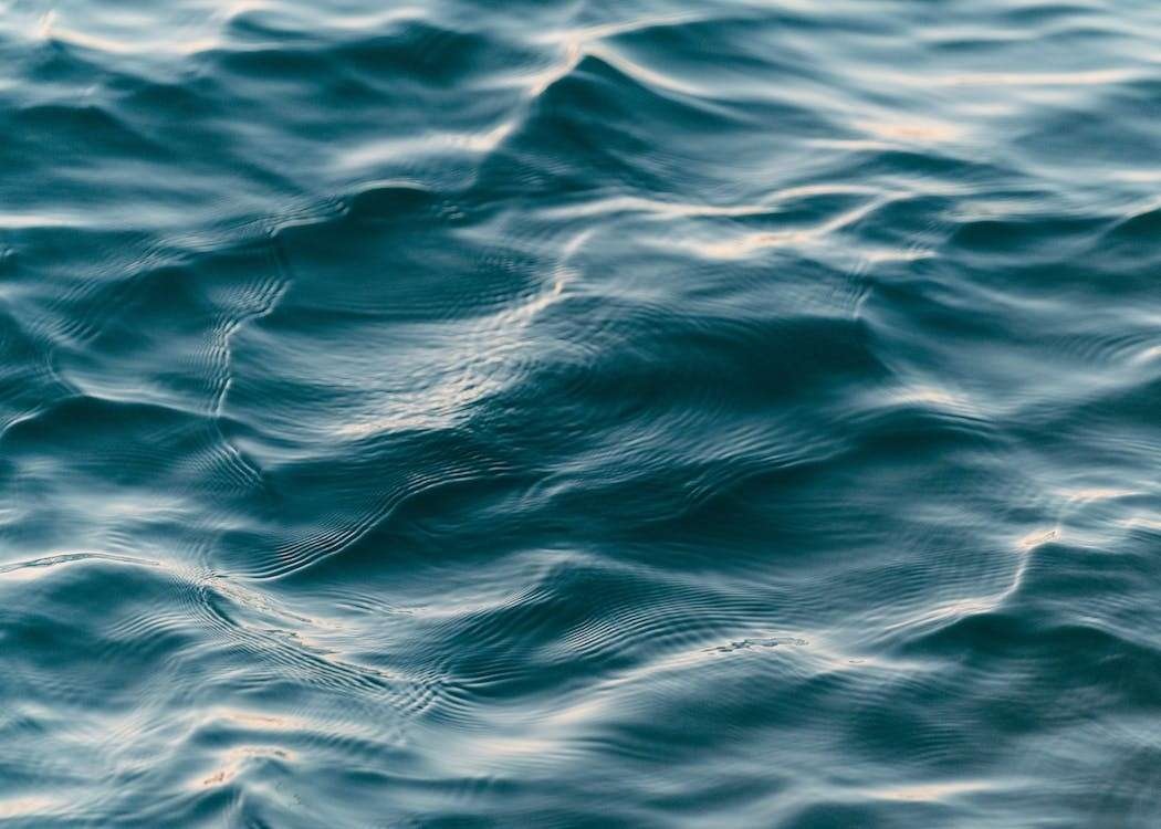 Close-up_Photo_of_Body_of_Water__