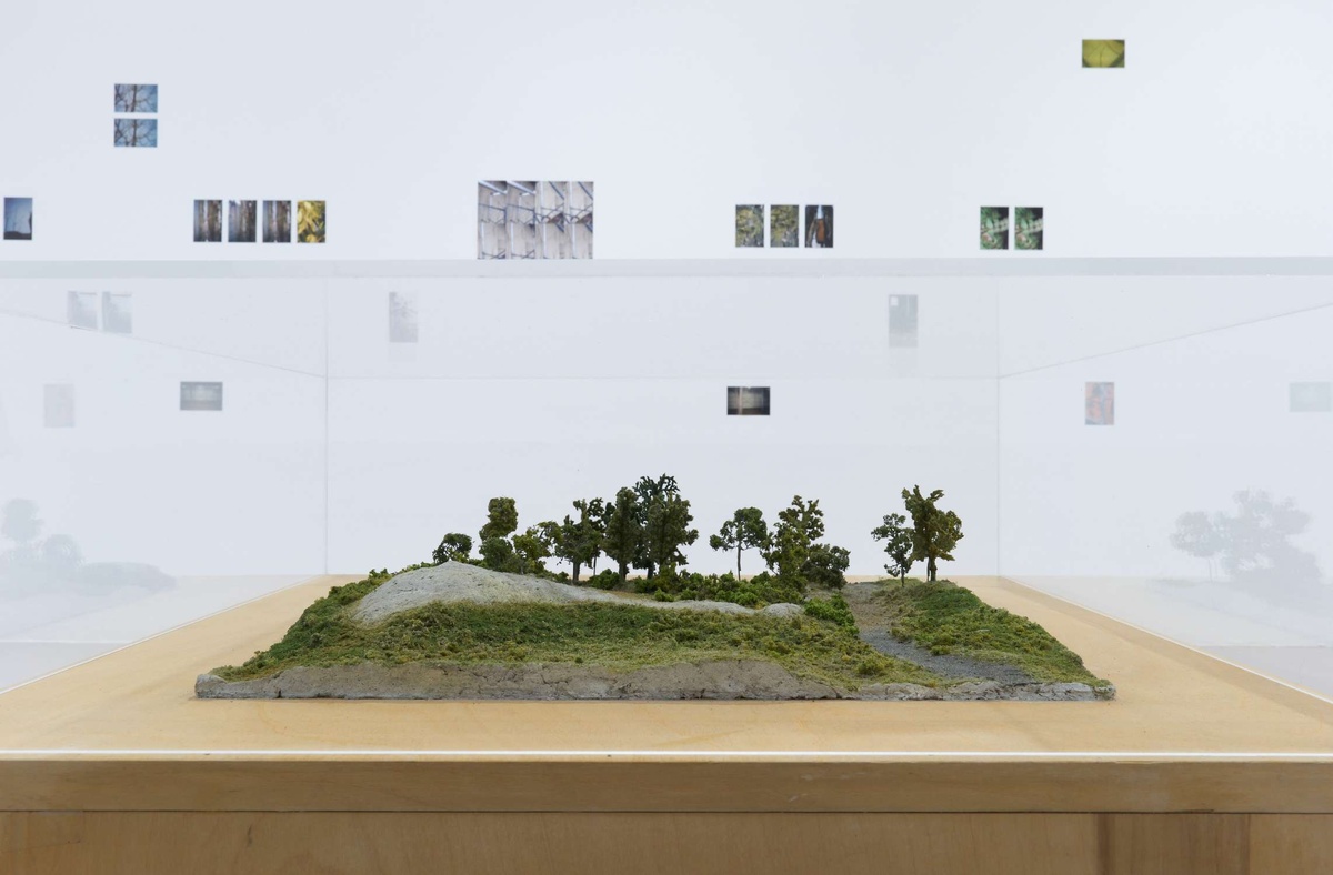 Detail of a green, park-scene, diarama inside of a glass box. Behind, images are scattered on the walls. 