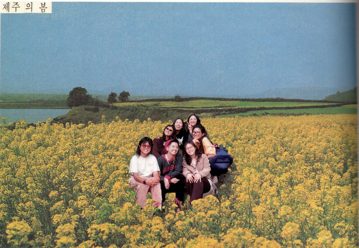 Dong Ji collective crouched together in a field of yellow flowers
