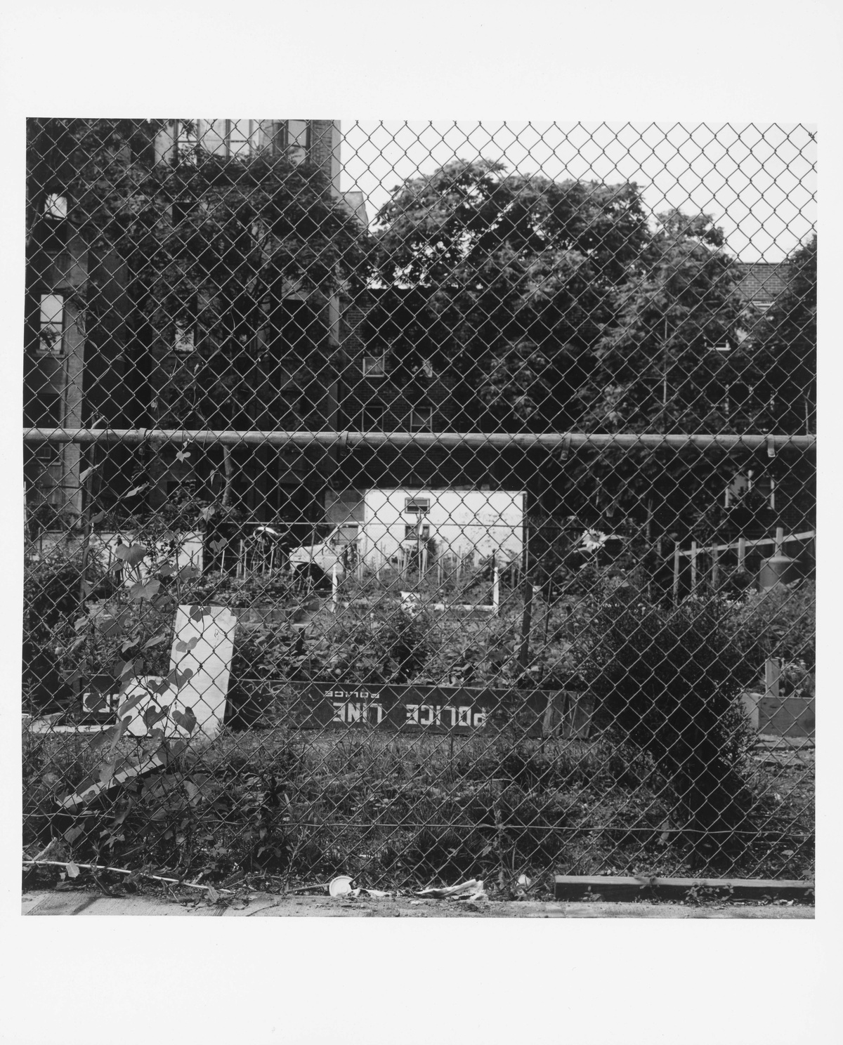 A black & white image of a rundown garden with a fence in the foreground, upside down “Police Line” barrier in the midground, and trucks and buildings in the background.