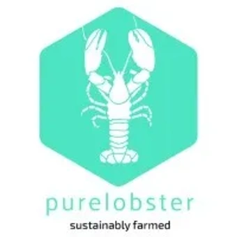Pure Lobster AS
