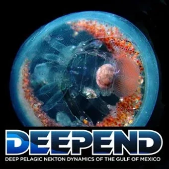 DEEPEND (Deep-Pelagic Nekton Dynamics) Consortium