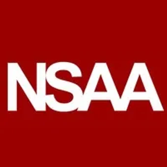NSAA Security