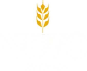 NUOVO PASTA PRODUCTIONS LTD