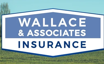 Wallace & Associates