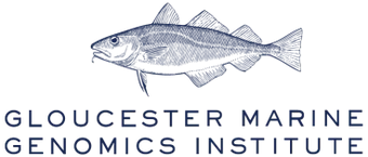 Gloucester Marine Genomics Institute, Inc.