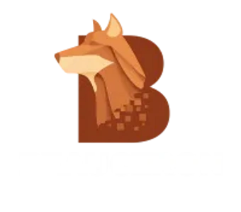 Beauceron Security