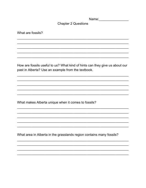 chapter-2-questions-grade-4-social-by-teachingfourth-ninja-plans