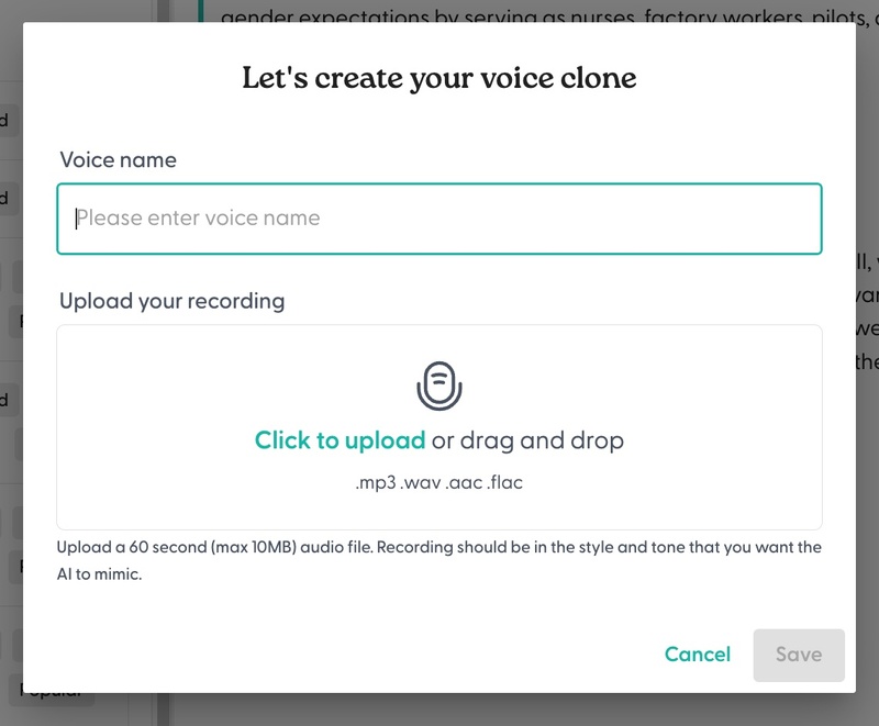Voice Clone Page