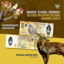 Thumbnail: Release of Philippine Polymer Banknote Series Begins Today; Available for Over the Counter Withdrawals at Banks