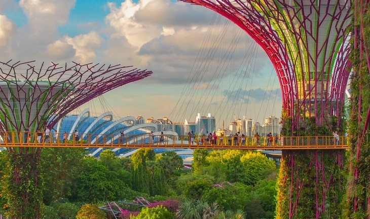 ESG jobs in Singapore pay better than you think