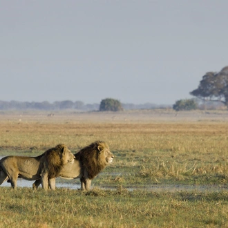 tourhub | Bundu Safaris Ltd | Highlights of Zambia - 11 days 