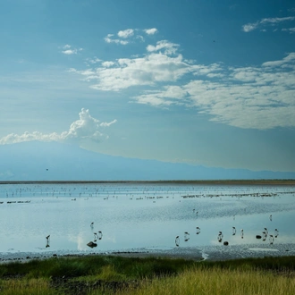 tourhub | Beach and Safari Holidays | Tanzania's Photographic Safari: Capturing Wildlife Wonders 