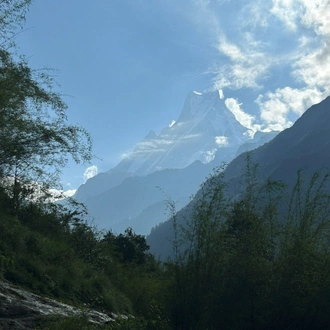 tourhub | Cordial Trek Pvt. Ltd | Annapurna Base Camp (ABC) Five Days Trek from Pokhara 