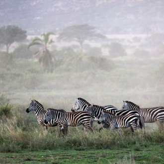 tourhub | Zara Tanzania Adventures | 5-Days Experience Tanzania Luxury Safari 