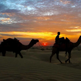 tourhub | Offbeat India Tours | Camels and Colors Rajasthan Tour with Fair 