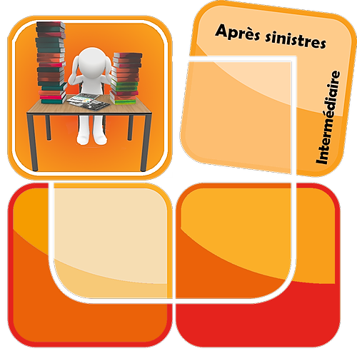 Représentation de la formation : Décontamination des documents et archives