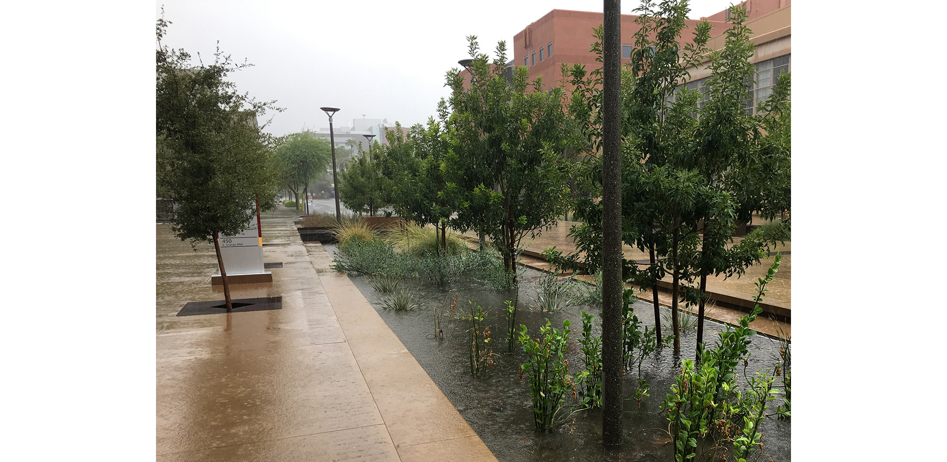 Rare Rain Event on Orange Mall