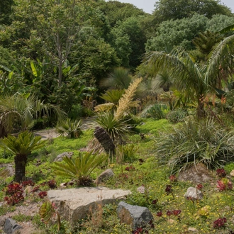 tourhub | Brightwater Holidays | England: Summer Gardens of Cornwall 5214 