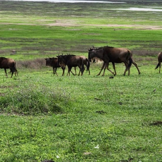 tourhub | SpiceRoads Cycling | Cycling Kilimanjaro to the Ngorongoro Crater 