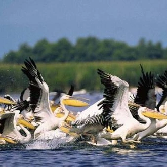 tourhub | UTracks | Danube Delta By Bike & Boat 