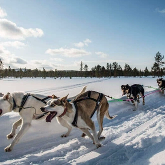 tourhub | Explore! | Finnish Lapland Winter Adventure 