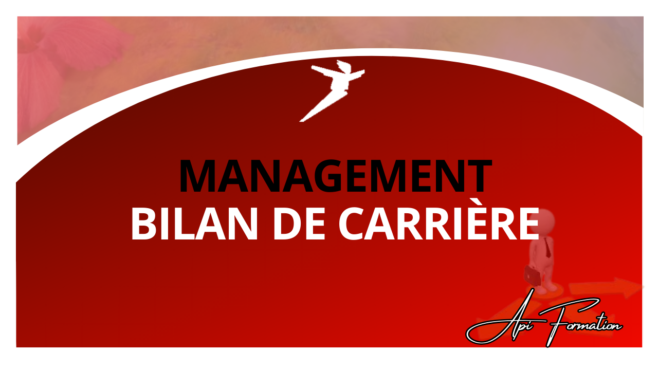 Représentation de la formation : BILAN DE CARRIERE 