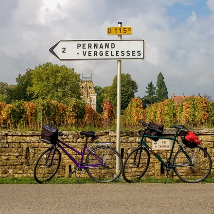 Taste Burgundy: France Wine Journey