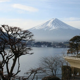 tourhub | Tweet World Travel | Japanese Alps - Snow Monkeys & Snow Corridor 