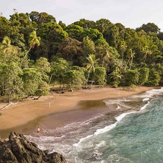 tourhub | YellowWood Adventures | Ecotourism in Costa Rica; rainforests, coffee & coastline 