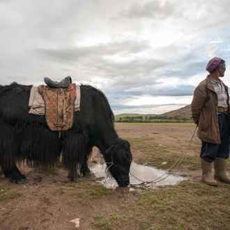 tourhub | Exodus Adventure Travels | Cycling in Mongolia 