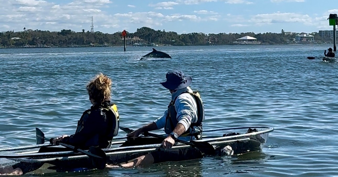 Sarasota Clear Kayak Tour